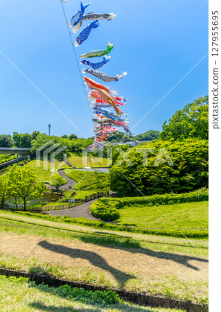 若宮公園：藍天下飄揚的鯉魚旗（神奈川縣厚木市） 127955695