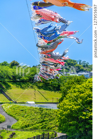 若宮公園：藍天下飄揚的鯉魚旗（神奈川縣厚木市） 127955697