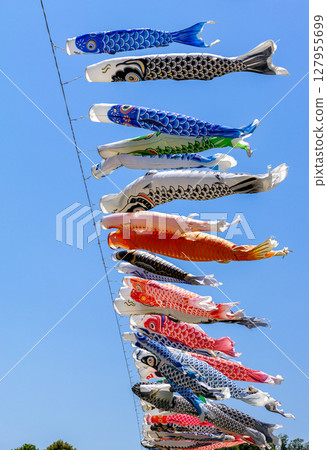 Carp streamer swimming in the blue sky 127955699