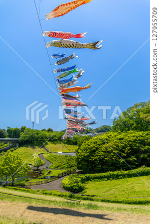 若宮公園:藍天下飄揚的鯉魚旗(神奈川縣厚木市) 若宮公園:藍天下飄揚的鯉魚旗(神奈川縣厚木市) 127955709