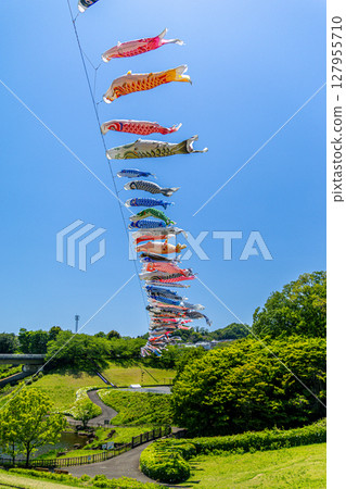 若宮公園：藍天下飄揚的鯉魚旗（神奈川縣厚木市） 127955710