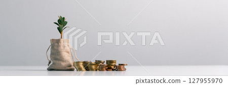 Business concept growth involves strategic financial management money loan investment bank real estate economic development encourage save buy home car education income stack investment economy return Business concept growth involves strategic financial management money loan investment bank real estate economic development encourage save buy home car education income stack investment economy return 127955970