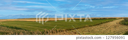 Scenic Cyprus Landscape A Tapestry of Green Fields Under a Blue Sky in Paphos District Scenic Cyprus Landscape A Tapestry of Green Fields Under a Blue Sky in Paphos District 127956091