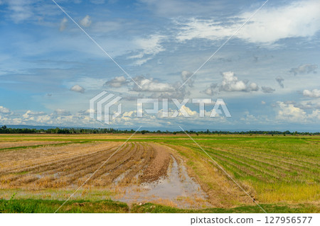 The sky is clear and bright with a few clouds. The sky is clear and bright with a few clouds. 127956577