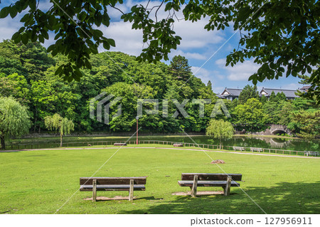 奈良公園荒井花園 奈良公園荒井花園 127956911