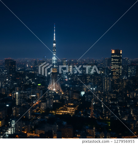 夜晚的城市在大城市 127956955