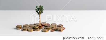 Business concept growth involves strategic financial management money loan investment bank real estate economic development encourage save buy home car education income stack investment economy return Business concept growth involves strategic financial management money loan investment bank real estate economic development encourage save buy home car education income stack investment economy return 127957270