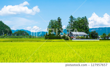 國家景觀在夏天 127957657