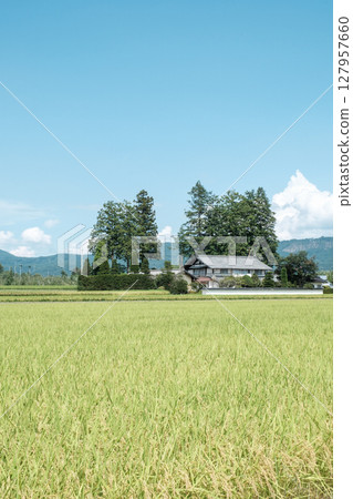 國家景觀在夏天 國家景觀在夏天 127957660
