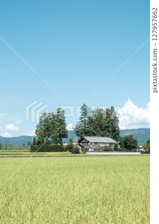 國家景觀在夏天 127957662