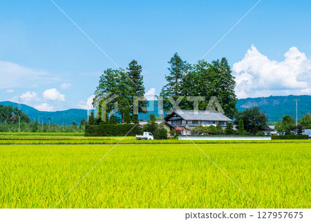 國家景觀在夏天 127957675