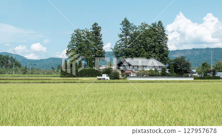 國家景觀在夏天 127957678