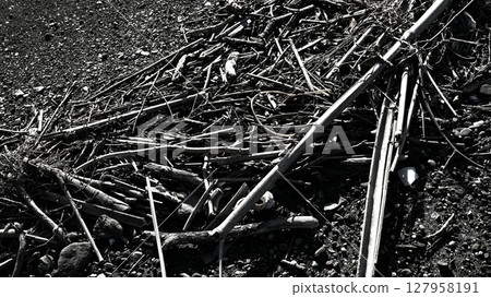 流到海岸的垃圾 127958191