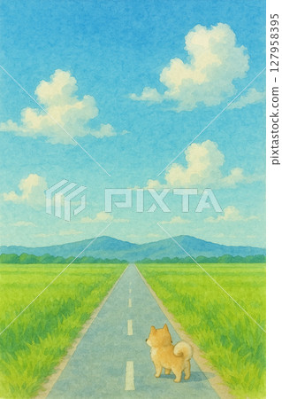 Blue sky, rice field and dog 127958395