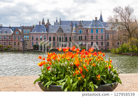 Binnenhof palace and the Hofvijver (Court Pond) in the city centre of The Hague, Netherlands. Flowerbed with beautiful tulips in a front Binnenhof palace and the Hofvijver (Court Pond) in the city centre of The Hague, Netherlands. Flowerbed with beautiful tulips in a front 127958539