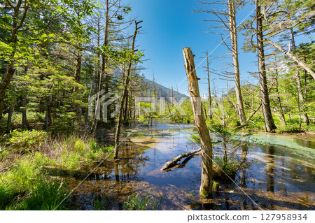 <Nagano> The magnificent views of Kamikochi: Dakezawa Marsh and Mt. Rokuhyaku 127958934