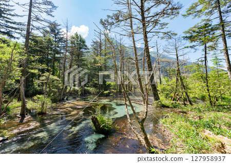 <Nagano> The magnificent views of Kamikochi: Dakezawa Marsh and Mt. Rokuhyaku 127958937
