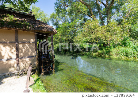 <安曇野>大王山葵農場的水車和美麗溪流的壯麗景色 127959164