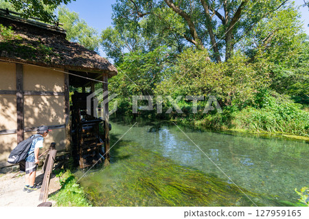 <安曇野>大王山葵農場的水車和美麗溪流的壯麗景色 127959165