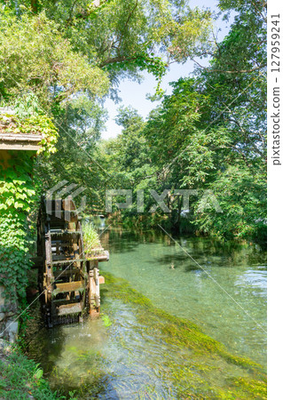 <安曇野>大王山葵農場的水車和美麗溪流的壯麗景色 127959241