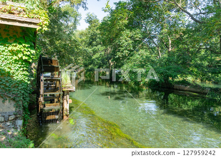 <Azumino> Spectacular view of the waterwheel and beautiful stream at Daio Wasabi Farm 127959242