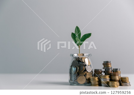 Business concept growth involves strategic financial management money loan investment bank real estate economic development encourage save buy home car education income stack investment economy return 127959256