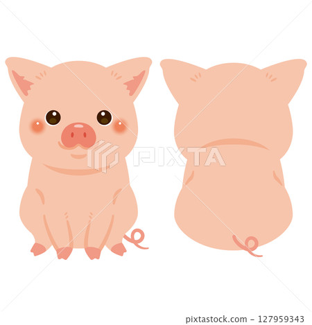 Sitting pig front and back illustration set 127959343