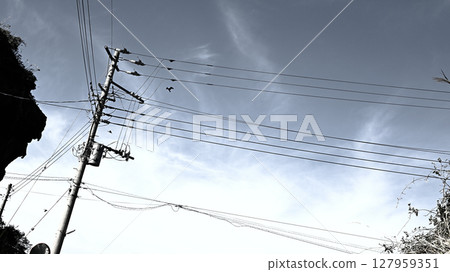 Blue sky and telephone pole 127959351