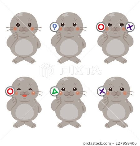 Set of seal character illustrations holding circle, square and triangle cards 127959406