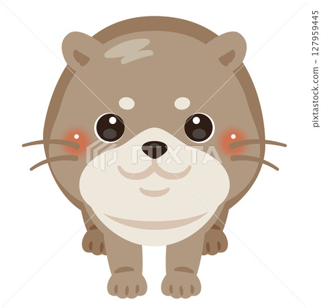 從正面看水獺的插圖 127959445