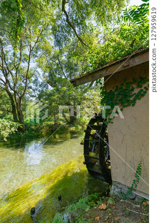 <安曇野>大王山葵農場的水車和美麗溪流的壯麗景色 127959619