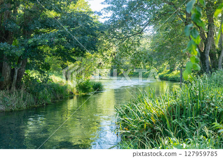 <Azumino> Spectacular view of the waterwheel and beautiful stream at Daio Wasabi Farm 127959785