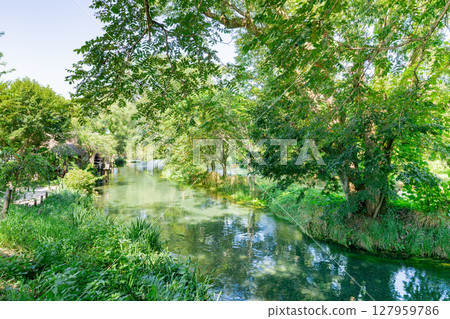 <Azumino> Spectacular view of the waterwheel and beautiful stream at Daio Wasabi Farm 127959786