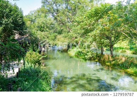 <Azumino> Spectacular view of the waterwheel and beautiful stream at Daio Wasabi Farm <Azumino> Spectacular view of the waterwheel and beautiful stream at Daio Wasabi Farm 127959787