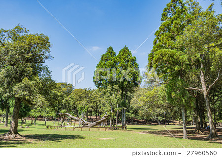 奈良公園的朝兒原庭園 奈良公園的朝兒原庭園 127960560