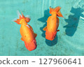 蘭壽 127960641