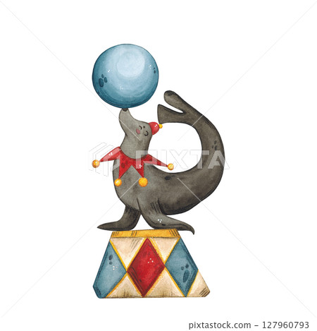 A watercolor illustration of a circus fur seal in a red cap holding a blue ball on his nose 127960793