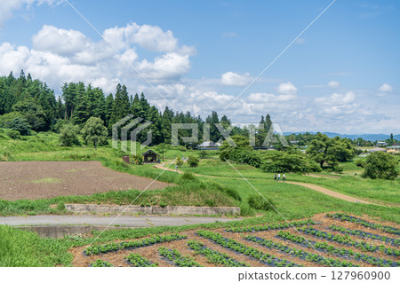 藍天綠樹映襯下的安曇野風景 127960900