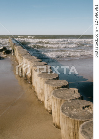 row of logs on beach. pier made of wooden beams on sand.  127960961
