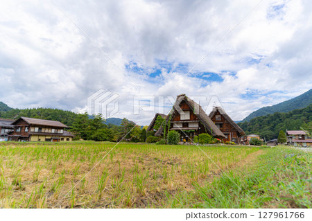 [World Heritage] Shirakawa-go in early autumn with ripe rice [Gifu Prefecture] 127961766