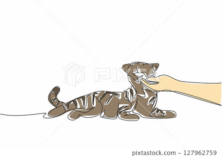 Continuous one line drawing tabby cat is lying down and there is a human hand holding his chin. Stroking. Joking with the striped one. National Tabby Day. Single line draw design vector illustration 127962759