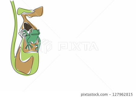 Single one line drawing frog in nepenthes. Pest control plants. Reduce number of ants roaming around by being eaten by frogs. World Carnivorous Plant Day. Continuous line design graphic illustration 127962815
