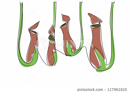 Continuous one line drawing some nepenthes hanging. Plants that produce acidic fluids to digest insects. The pitcher plants. World Carnivorous Plant Day. Single line draw design vector illustration 127962820