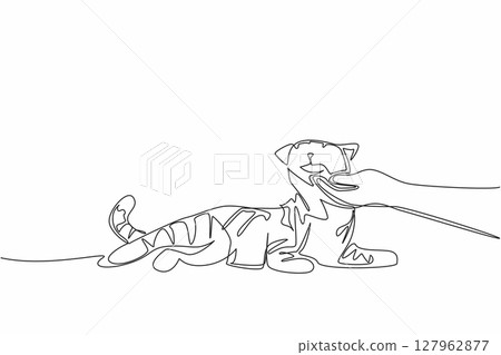 Continuous one line drawing tabby cat is lying down and there is a human hand holding his chin. Stroking. Joking with the striped one. National Tabby Day. Single line draw design vector illustration 127962877