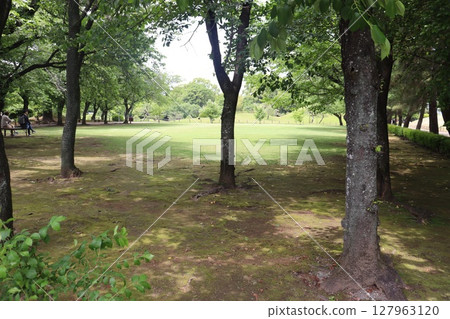 熊本縣水前寺廟公園 熊本縣水前寺廟公園 127963120