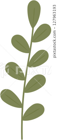 Plant flowers and leaves 127963193