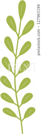 Plant flowers and leaves 127963199
