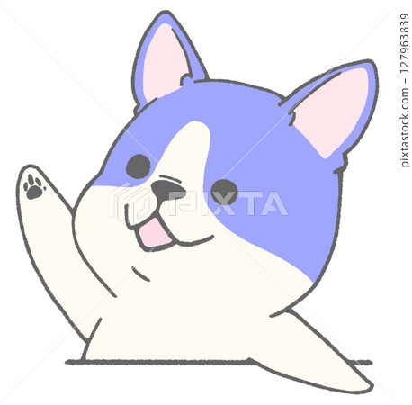 法國鬥牛犬（花斑，藍色）舉手 127963839