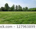 Scenery of the grass field at Tsukuba Expo Memorial Park 127963899