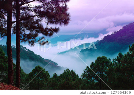 colorful mountain landscape wrapped in morning mist, peaceful nature scene, layered tones 127964369